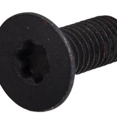 TORNILLO CABEZA AVELLANA SANDVIK 5763165 5513 02007