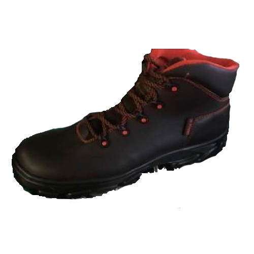 Compre su Zapato D Magno 4060Pd